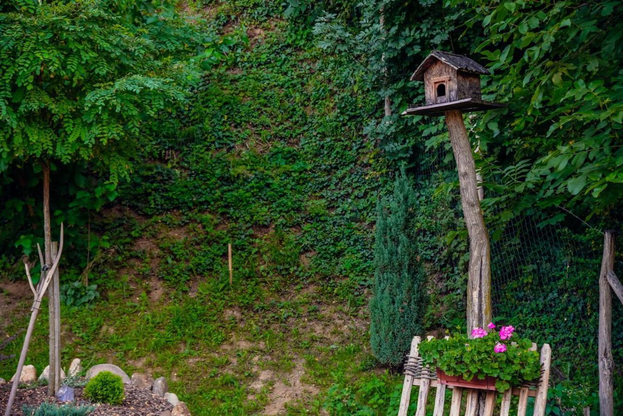 Villa Etno Kuca Todorovic Smederevo Exterior foto