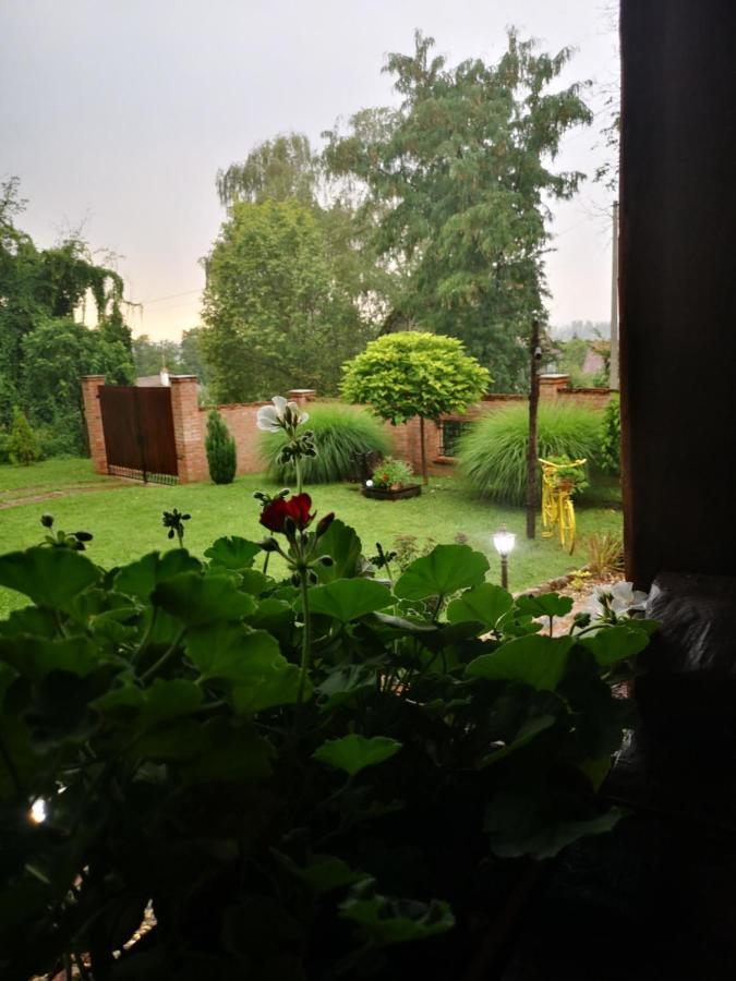 Villa Etno Kuca Todorovic Smederevo Exterior foto