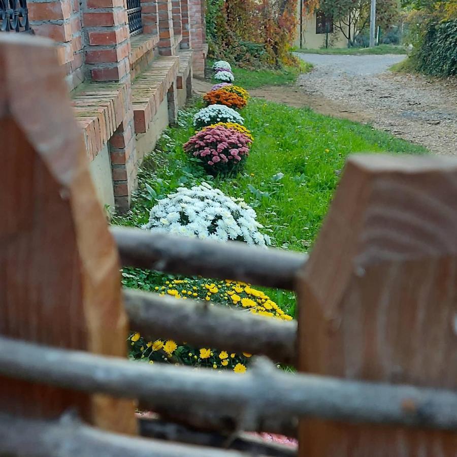 Villa Etno Kuca Todorovic Smederevo Exterior foto